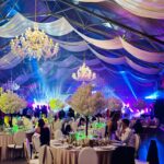 Drzewko kwitnącej wiśni