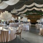 Drzewko kwitnącej wiśni